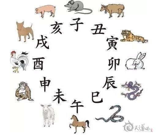 与父母生肖六冲的孩子