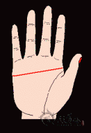 男人断掌手相的性格特点
